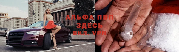 дмт Козельск