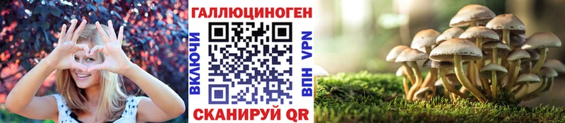 Купить где  Зверево  Псилоцибиновые грибы GOLDEN TEACHER 